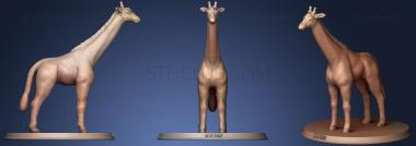 3D model Giraffe (STL)